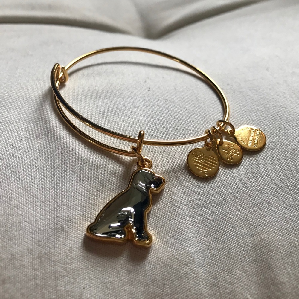 Gold Alex and Ani Bracelet